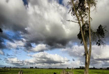 跟队：劳塔罗将缺战乌迪内斯以及意杯半决赛首回合米兰德比.